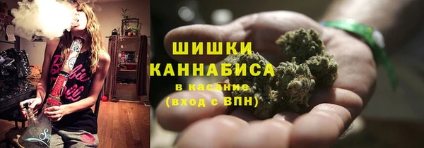 гидропоника Заводоуковск