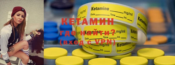 прущие грибы Ельня