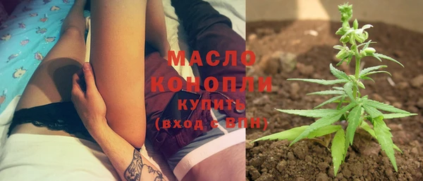 прущие грибы Ельня