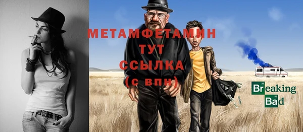 прущие грибы Ельня